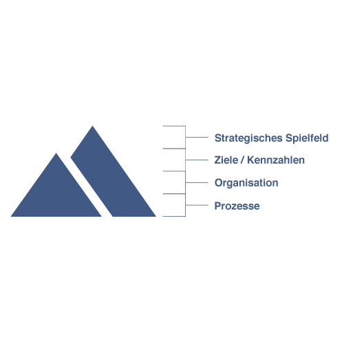 consenzum-prozess-und-projektmanagement-1