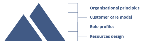 consenzum-organization-and-processes-our-services-1