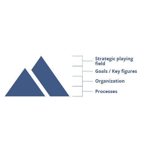 consenzum-process-and-project-management-1
