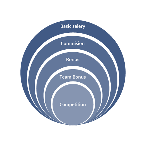 consenzum-remuneration-systems_our_services