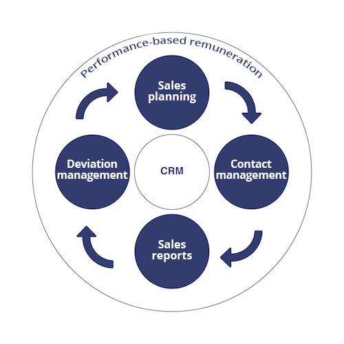 consenzum-sales-management_our_services-v3