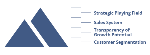 consenzum-sales-strategy_our_services-1